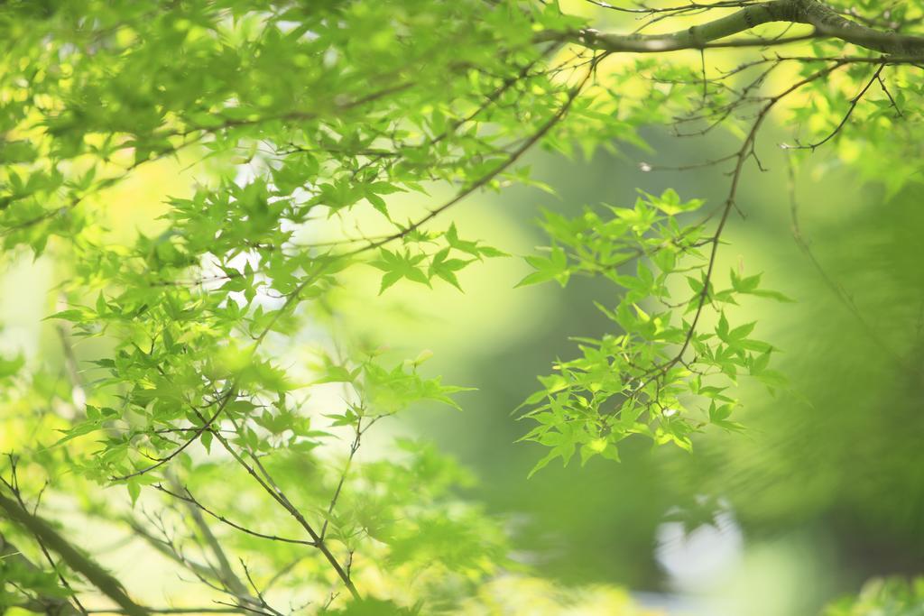 Oushuku Onsen Choeikan Shizukuishi Экстерьер фото